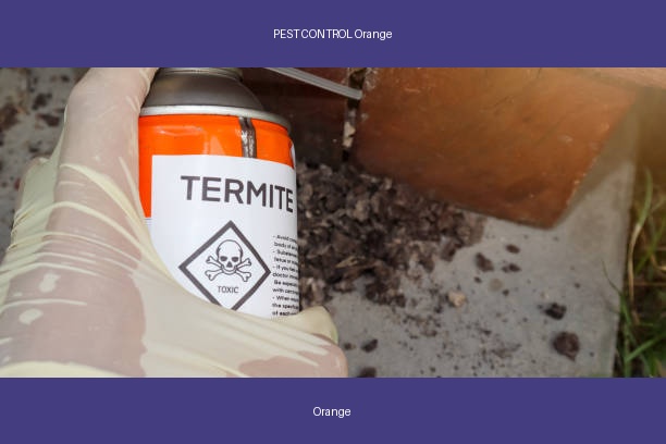 PEST CONTROL Orange